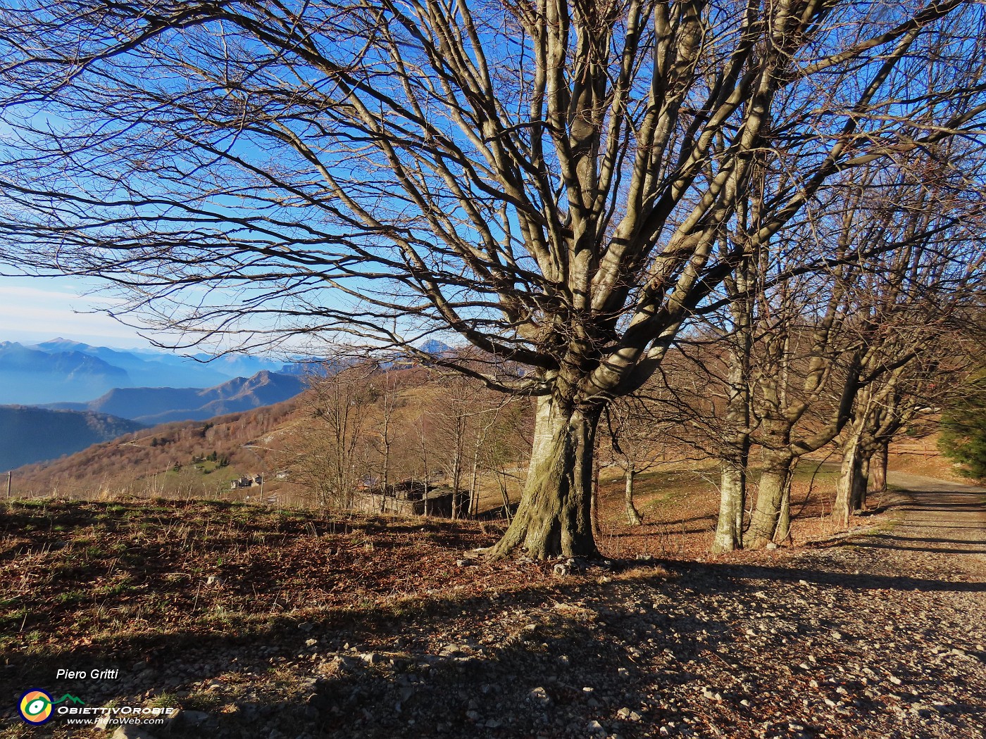 65 Rientriamo alla Forcella Alta .JPG